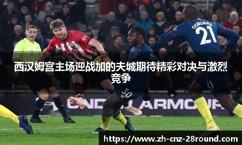 28圈首页